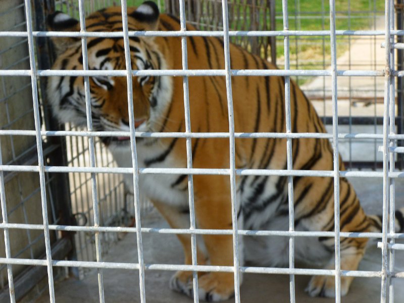 Eureka Springs 2013 066